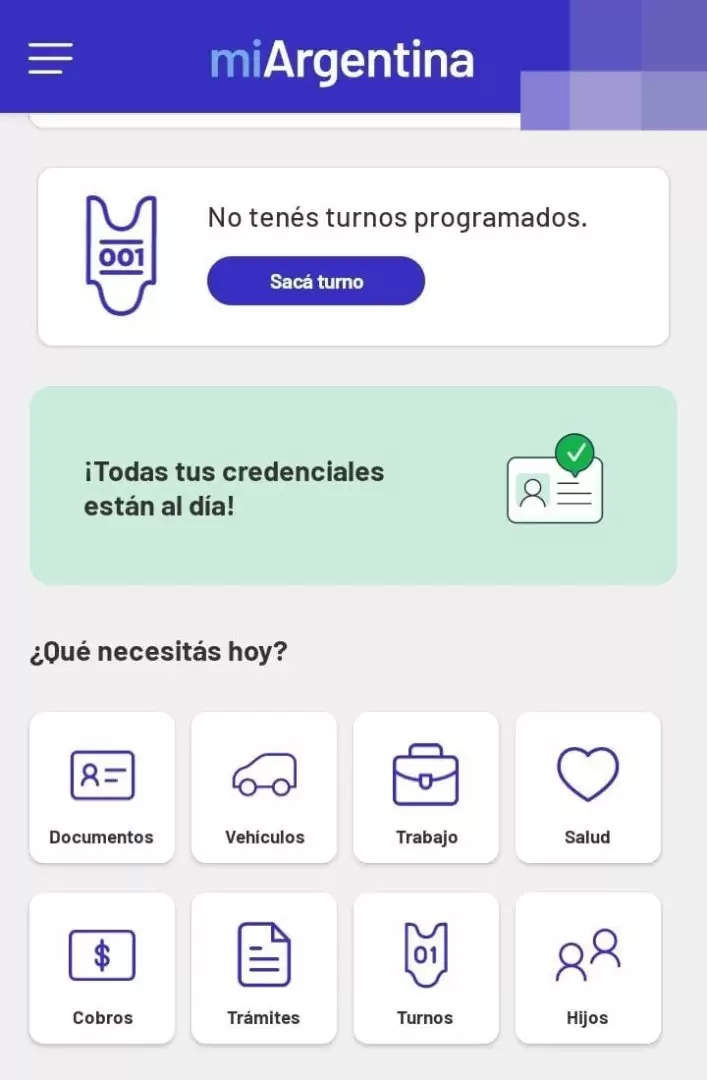 Autorizar vehículo 1