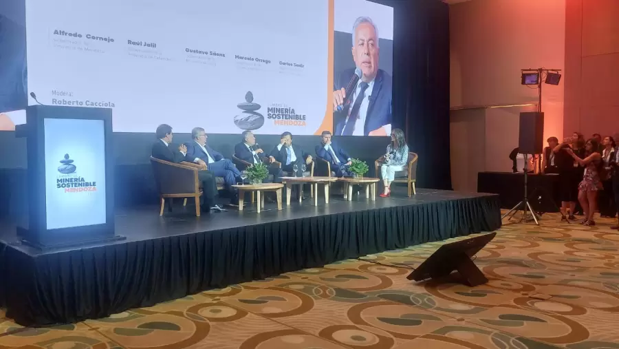 "En todo el país hay 10 proyectos de cobre, y en San Juan tenemos seis de esos proyectos" (M. Orrego, gobernador de San Juan)