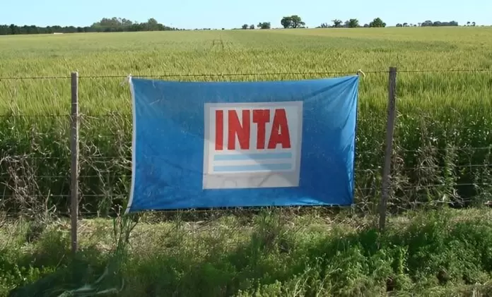 INTA