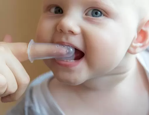 Los primeros dientes de leche que salen o erupcionan en la boca del bebé son los incisivos centrales inferiores.