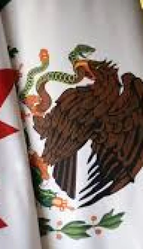 El Gobierno saliente de Biden teme que el fuerte gravamen fragmente el acuerdo T-MEC.