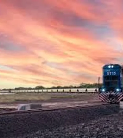 Planta de Piquete Cabado, Salta.