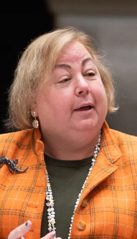 Senadora Liz Krueger