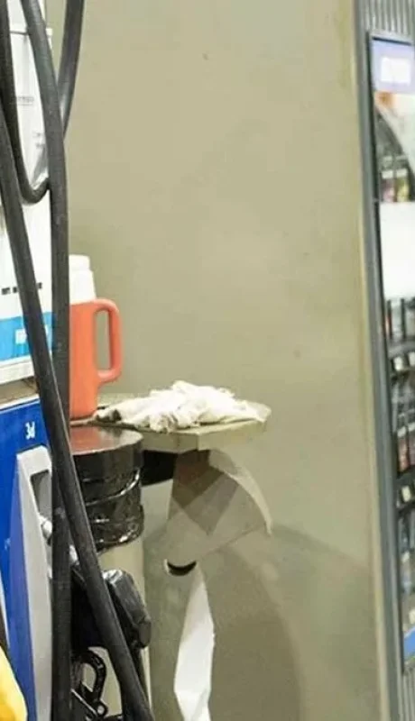 Desde este lunes aumenta la nafta