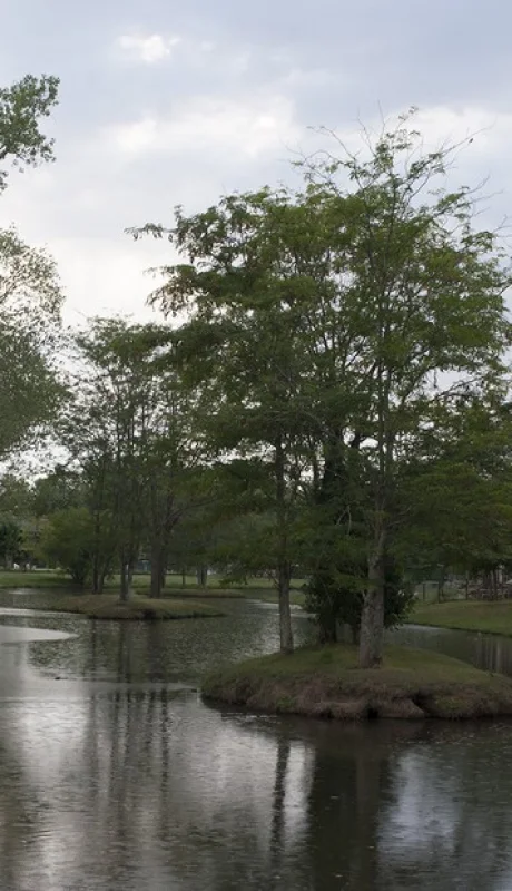 Conmoción en el country: un adolescente mató a su padre e hirió a su madre y hermana