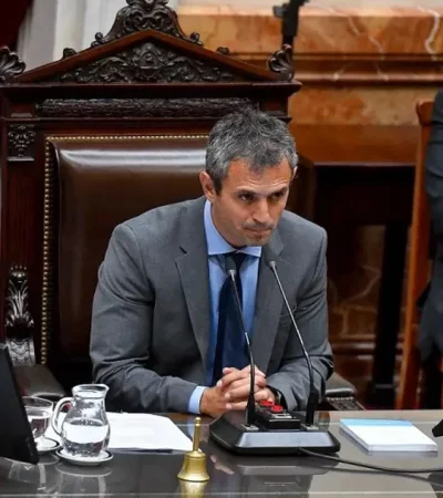 Martín Menem: el poder detrás del estrado en Diputados se consolida