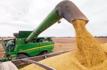 ¿Por qué se registró en noviembre una alta liquidación de divisas del agro?