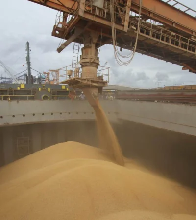 Los ingresos por la exportación de soja favorecen el equilibrio comercial.