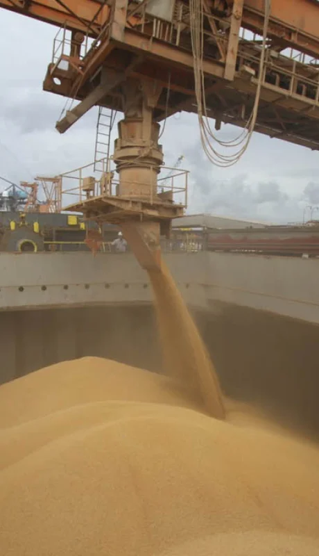 Los ingresos por la exportación de soja favorecen el equilibrio comercial.