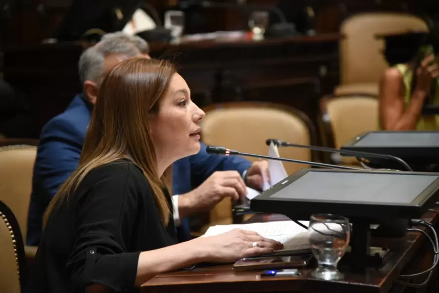 Intenso debate en la Cámara alta