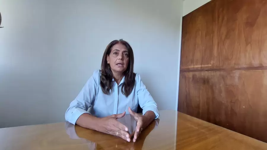 Diputada Gabriela Lizana (Renovador Mendoza Línea Nacional)