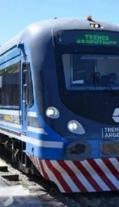 Está compuesto por dos duplas, y en cada vagón puede llevar hasta 72 pasajeros sentados.