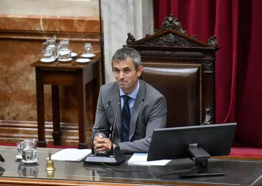 Martín Menem, reelecto titular de la Cámara baja. (Foto: web)