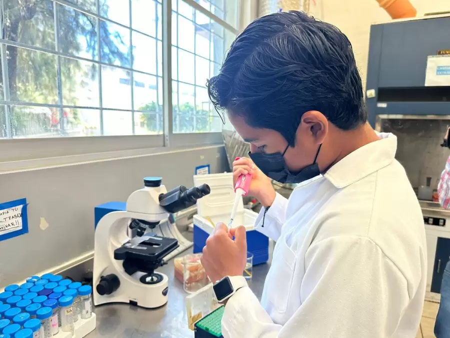 Ian, trabajando en el laboratorio de microbiología.