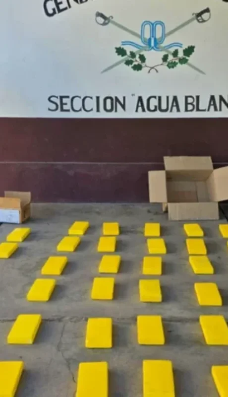 El cargamento recuperado.