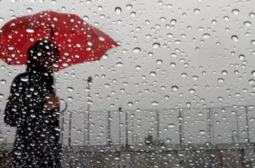 El 9 de julio marca la llegada de las lluvias a un amplio sector de Argentina