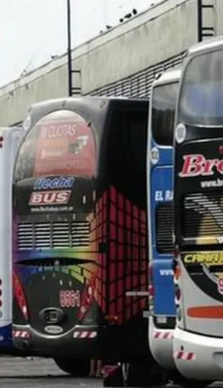 Colectivos de larga distancia,