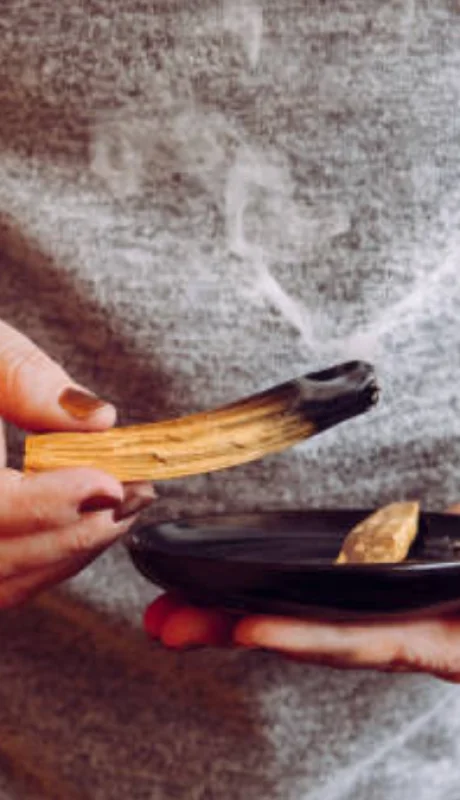 Aprovecha el portal 12/12: pasos para alinearte con su vibración única.