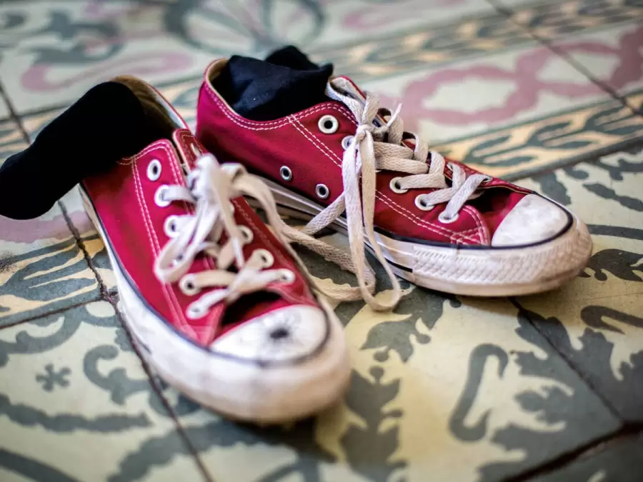 Hongos y bacterias, los verdaderos culpables de nuestra vergüenzaq