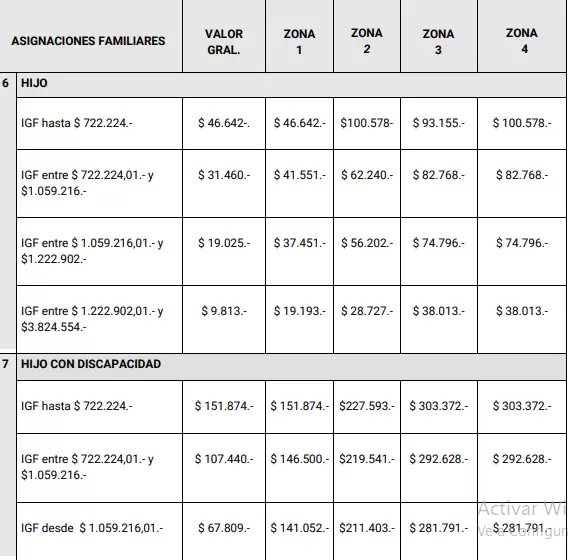 En la página oficial también figuran los montos de otras asignaciones