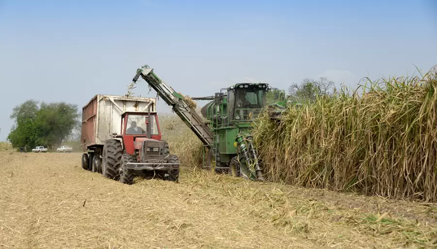 El azúcar fue el producto con mayor incidencia en el aumento de las exportaciones. (Foto: archivo web)