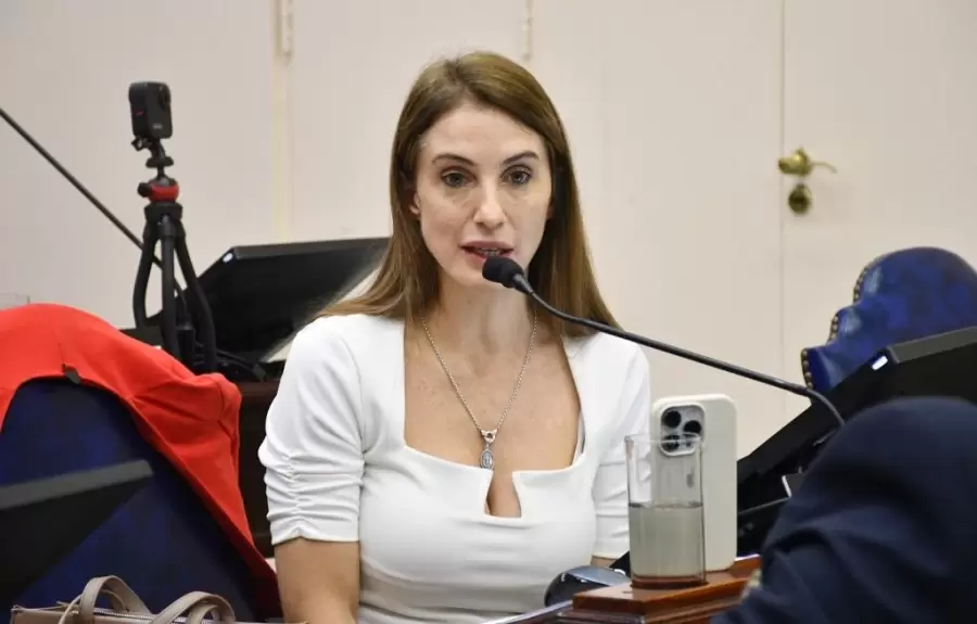 Diputada provincial Agostina Villaggi