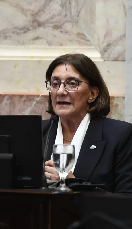La senadora nacional por Río Negro, Mónica Silva.
