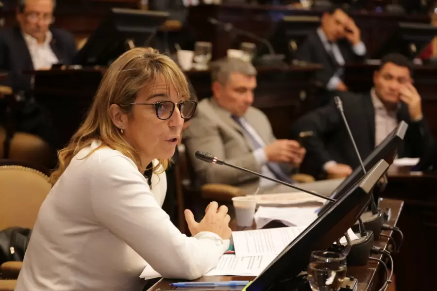 Ex legisladora María José Sanz (UCR - CM) y autora de la Ley de Ficha Limpia que rige en la provincia