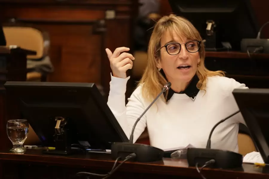 Ex legisladora María José Sanz (UCR - CM) y autora de la Ley de Ficha Limpia que rige en la provincia.