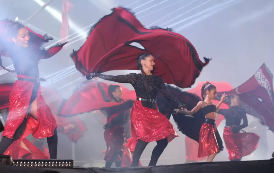 Cuadro artístico de malambo.