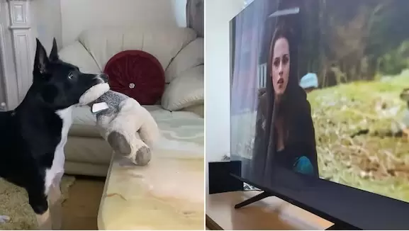 Tendencia en TikTok.