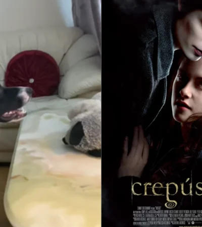 Barney demostró que incluso los perros pueden emocionarse con una pelea épica entre hombres lobos.