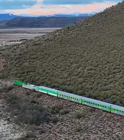 Tren Patagónico.
