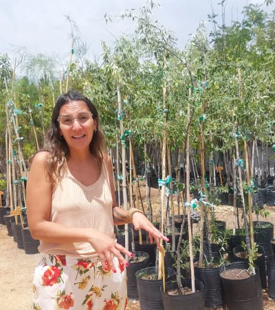 Polo Ambiental Godoy Cruz