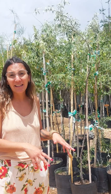 Polo Ambiental Godoy Cruz