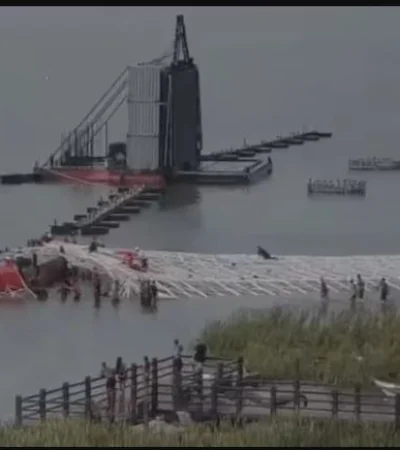 El árbol tenía más de 55 metros y buscaba engalanar una playa carioca.