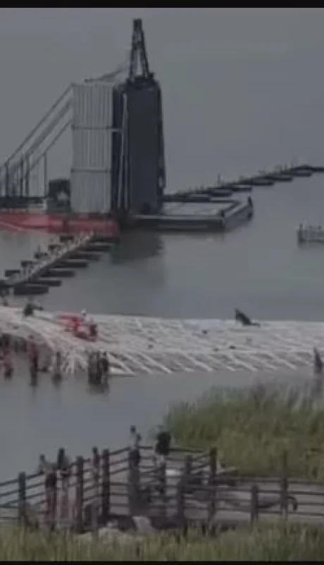El árbol tenía más de 55 metros y buscaba engalanar una playa carioca.