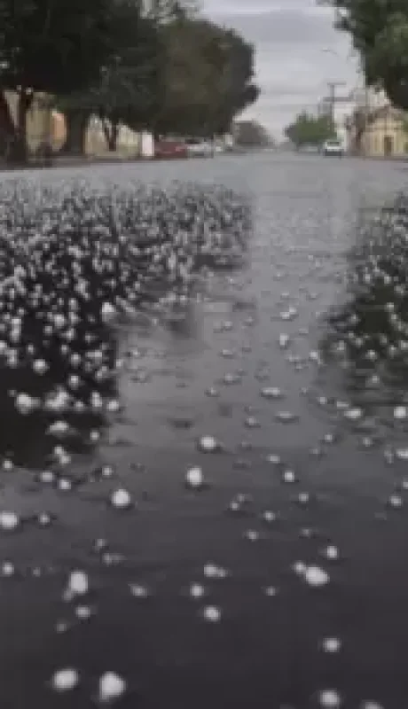 El granizo azotó sin clemencia el este de Mendoza.