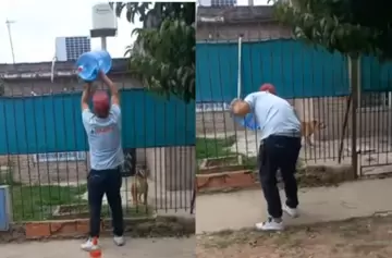 Sodero vs. perro: la ingeniosa maniobra que hizo explotar TikTok