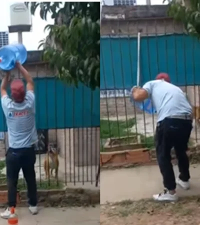 El sodero viral de TikTok.