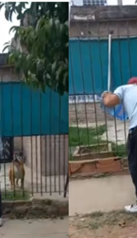 El sodero viral de TikTok.