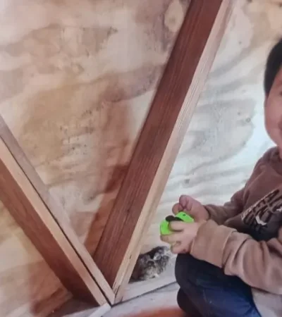 Búsqueda de Bautista Book.