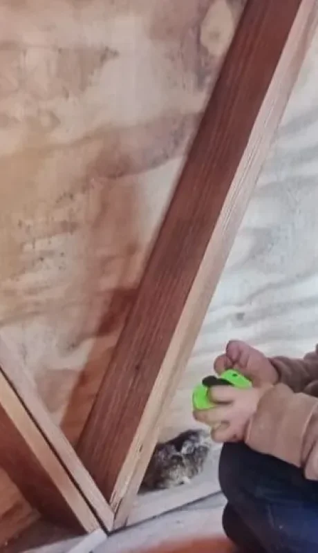 Búsqueda de Bautista Book.