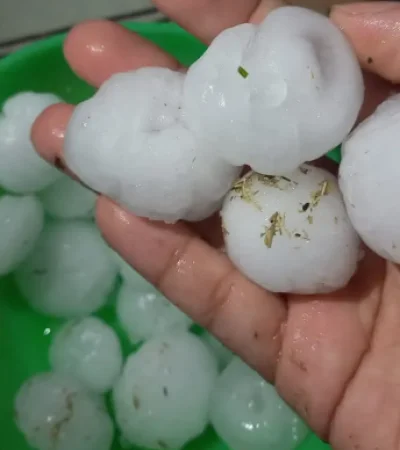 Tamaño de las piedras más grandes que cayeron producto de la intensa tormenta que afectó principalmente a San Martín y Junín, en Mendoza.