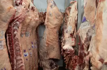 Carne para todos: comprar media res puede reducir el costo en 80%