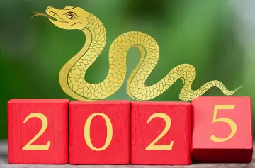 Predicciones 2025: qué trae la Serpiente de Madera Yin para cada signo