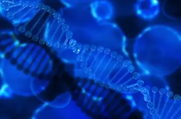 ¿Qué dice tu ADN sobre tu dieta y estilo de vida? Así es el "estudio del momento"