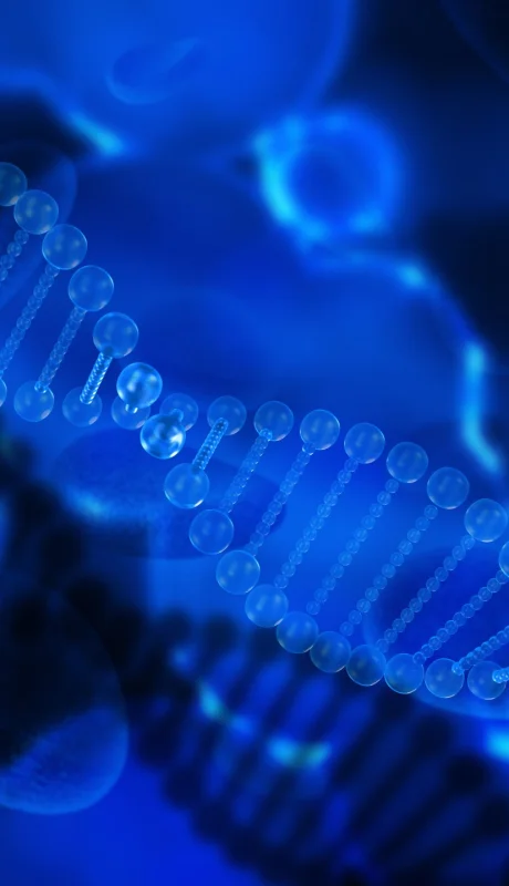 En el ADN se encuentra información valiosísima para saber más de nuestro organismo.