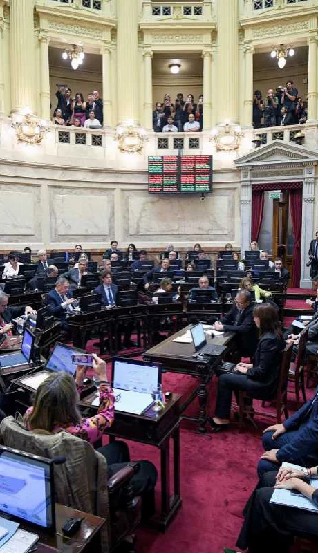 Para muchos el Senado de la Nación es responsable de las indefiniciones en varios aspectos clave que se trataron en 2024.