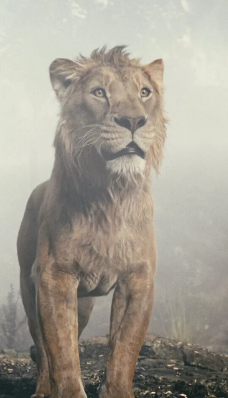 ¿Quién es quién en "Mufasa: El Rey León"?